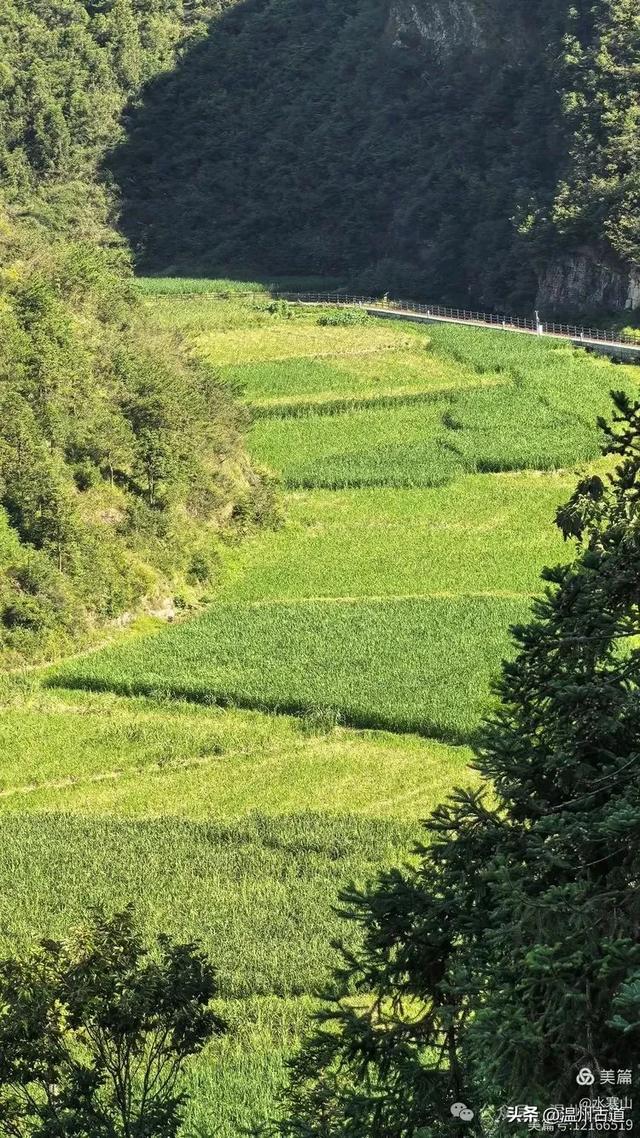 逃离热浪！去“浙南之巅”这片小众山间秘境，一键解锁夏日清凉！