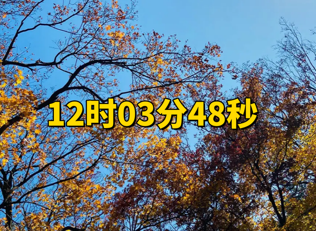 “白天立冬，穿单衣；晚上立冬	，冻死牛”，今年立冬是在几点？