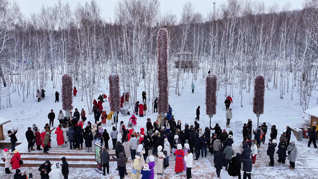 11米高“糖葫芦树”现身呼伦贝尔啦！