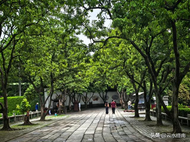 福州不多的收费古寺,20元门票能吃到宋代的荔枝吗?看我实地探访