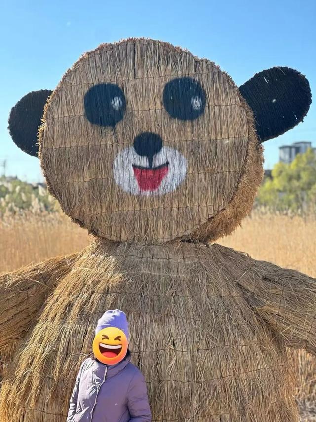 大风刮出绝美晴天！北京园博园湿地稻草人展持续营业中，蓝天湿地拍爆朋友圈