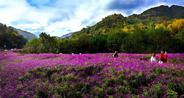 来广元月坝，解锁一场“多巴胺”初冬