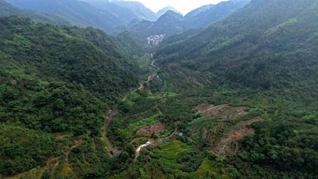 “山村收菜计划”再升级！杭城一批亲子家庭上周末驱车200公里赶到这个海拔600多米的小山村……