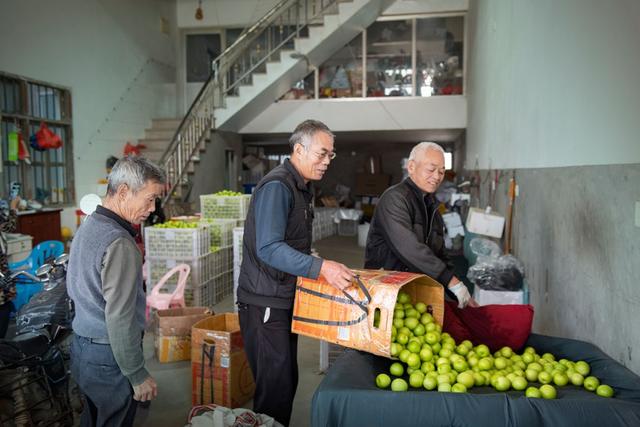 美丽中国行发现之旅：古楼村的红与甜