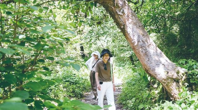 40度“桑拿天”?甘孜邀你来这儿过20度夏天！