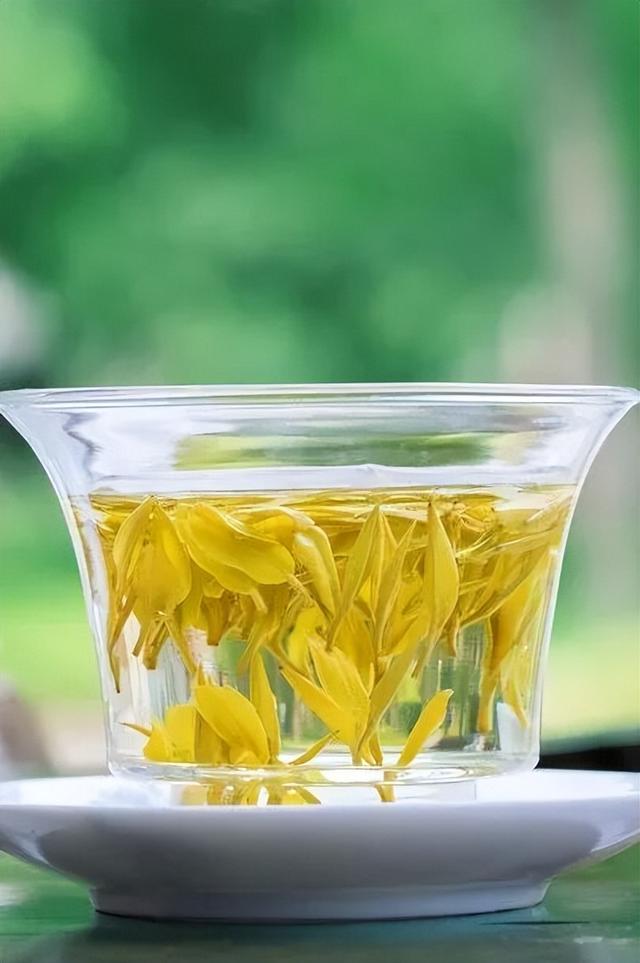 成都出发2.5h刹拢最绝红叶之城！秋色媲美九寨，一城吃够三省美食！更有山林温泉泡过瘾！