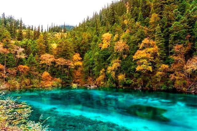 老人快离世时，往往有如下5个征兆，好好守在老人身边，不留遗憾