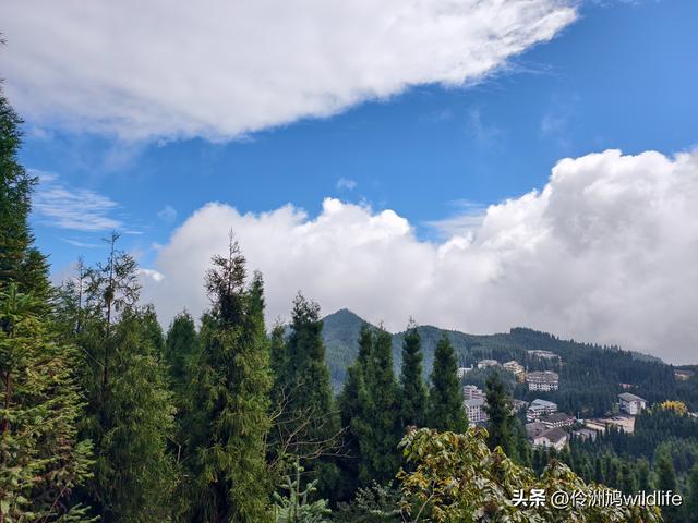 四川行(73)什邡红枫岭徒步到钟鼎寺