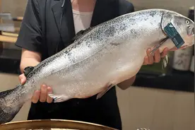 帝王鲑才是三文鱼中的“爱马仕”？普通三文鱼输了？看完秒懂！图片