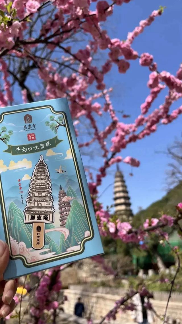 济南市区1h直达的绿野仙踪！古树浓荫+山泉清冽+拍照天堂，一脚踏进21°C的夏天！