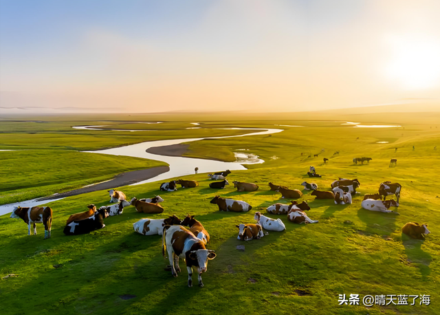 “呼伦贝尔”—是北纬49°的天然空调房—中国最纯净的避暑胜地！