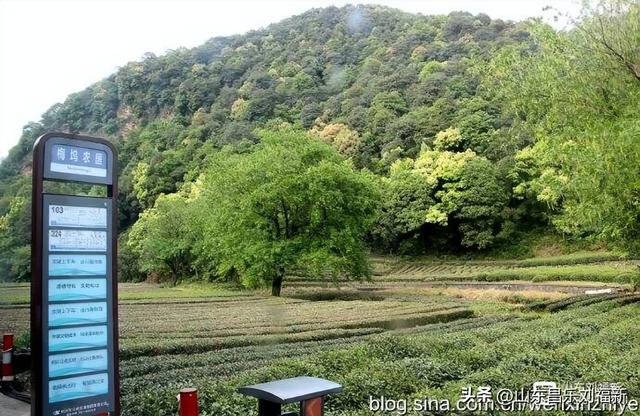 杭州324路公交车沿途风光（皖浙沪旅游122）