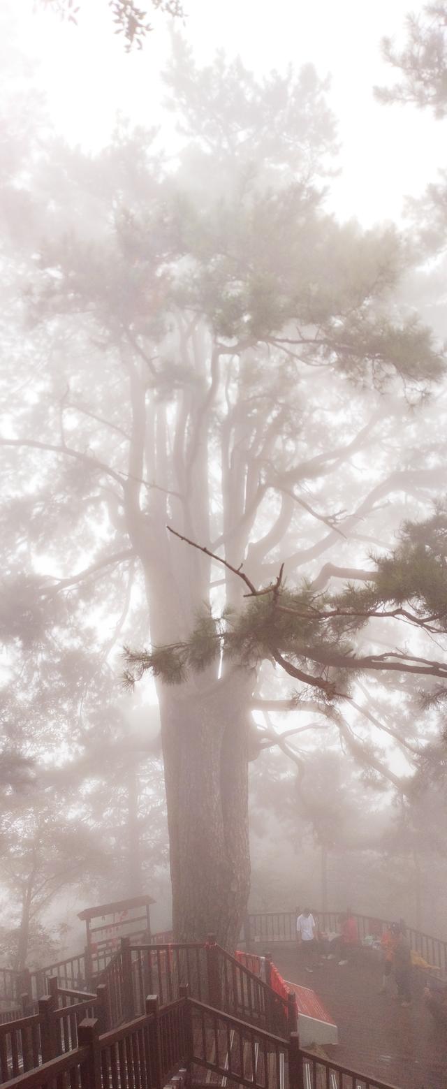 终南山.南五台—不负遇见