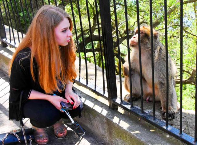 西班牙旅游：难忘从塞维利亚到直布罗陀行记（图）