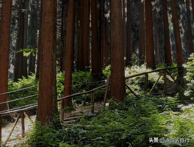 成都彭州5条爆红徒步线路，被严重低估，全部免费，景色秀美！