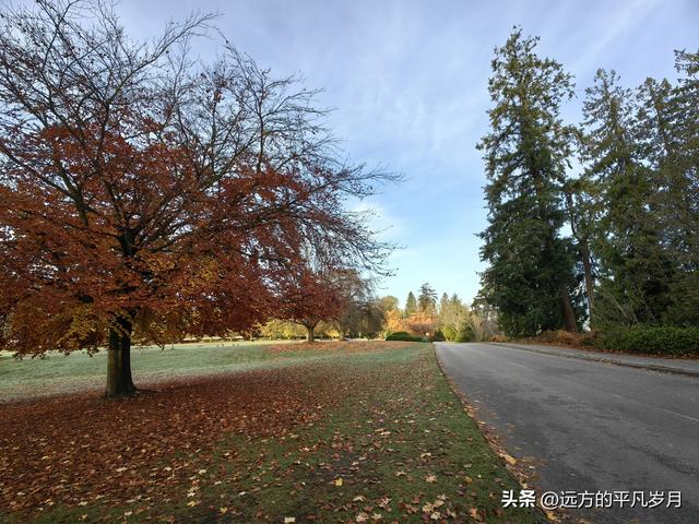 温哥华游记（四）