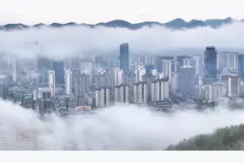 这，就是新蒲！图片