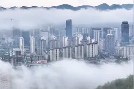 这，就是新蒲！图片