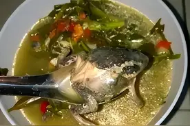 含剧毒，无解药，这种东西不能吃，加热120℃也没用，有人已中招图片