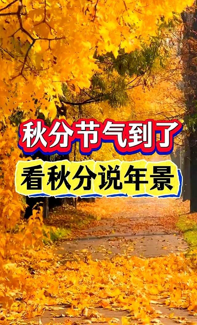 “上午秋分，大雪封门”！明日9月23日秋分，今年冬天要冷到哭？