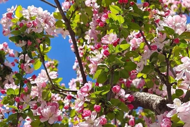 北京元大都城垣遗址公园 海棠花溪