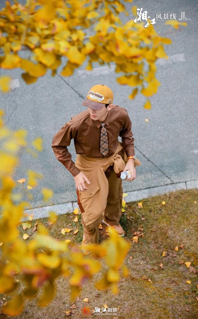 长沙银杏浓度即将达到100%！这波“小确杏”你要接住→