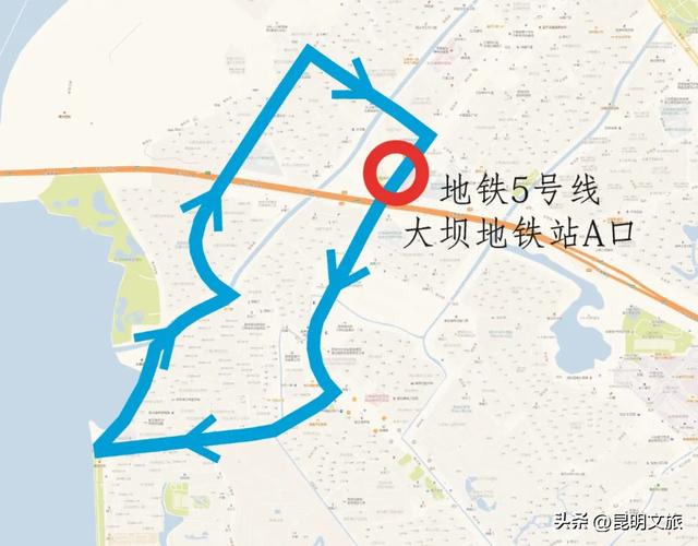 昆明人私藏观鸥地图+观杏!滴滴6折立减35元打车券直接薅