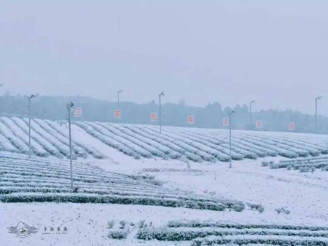 雪҈ 雪҈ 雪҈ 太美啦！快接住这“泼天”的雪白浪漫！