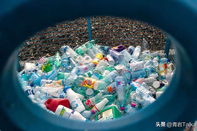 触摸砂纸质感鲸皮，见证恐龙生死搏斗，这座博物馆让孩子爱上自然