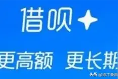 蚂蚁花呗、借呗原运营公司更名并停止贷款业务，行业震荡！图片