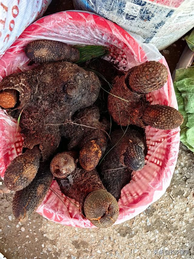 柴米油盐调味诗与远方，抚仙湖那一抹红