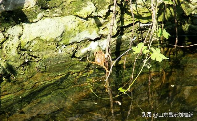 走亲曹家庙（一）