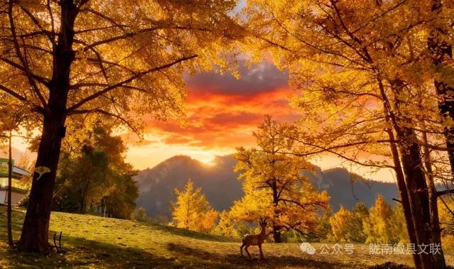 等霜落，看景去——徽县的秋，是首写满美的诗