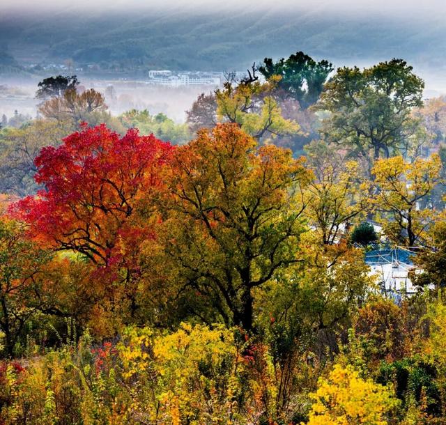 一眼心动的黟县：从天空之镜到落日霞光的全景漫游