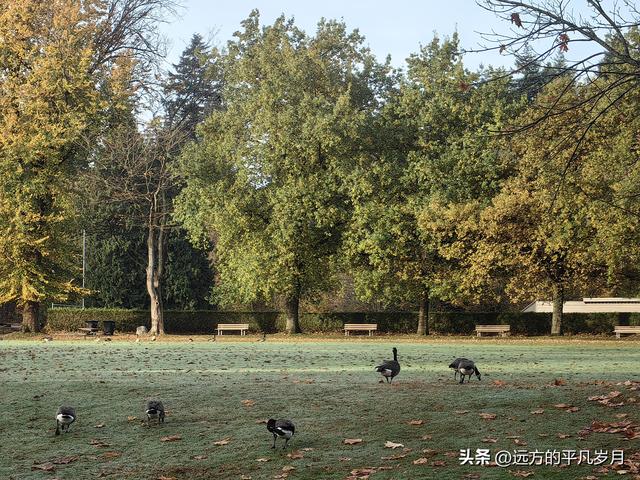 温哥华游记（四）