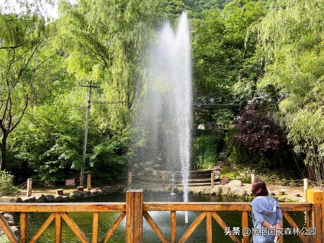 拒绝“蒸笼模式”,在黑河畅享20℃+的清凉时光