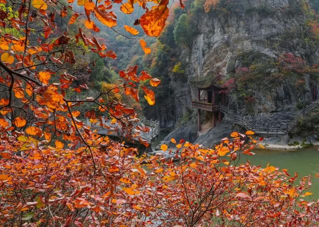 这才是秋天该有的样子~