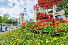 锚定一流、双轮驱动，激发高质量发展活力动力——本钢集团“提升年”改革发展成果回眸之三图片