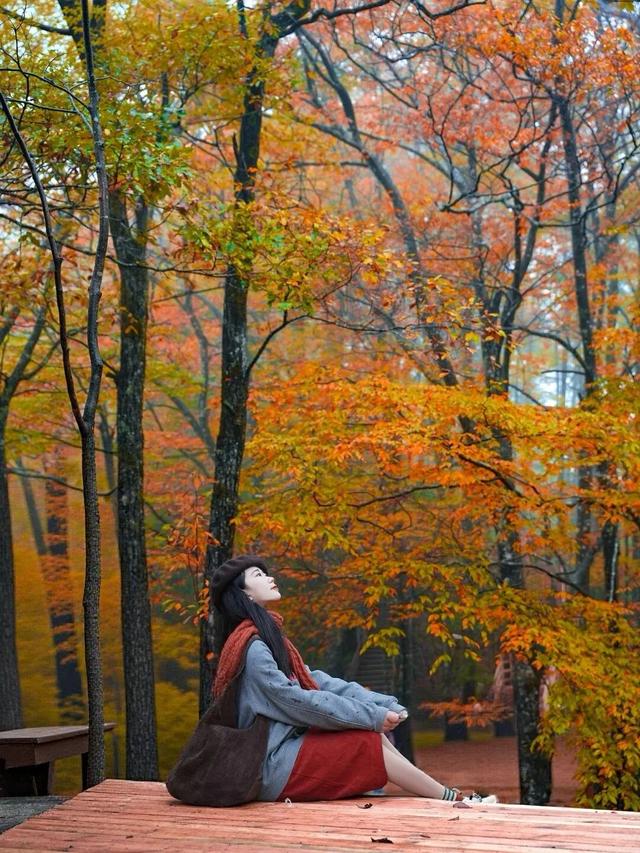 追了光雾山的红叶，这个秋天没白过！