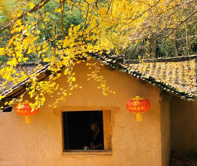 11月，去赏银杏吧！8个高颜值赏秋地，速来拍美照，挑一个就出发