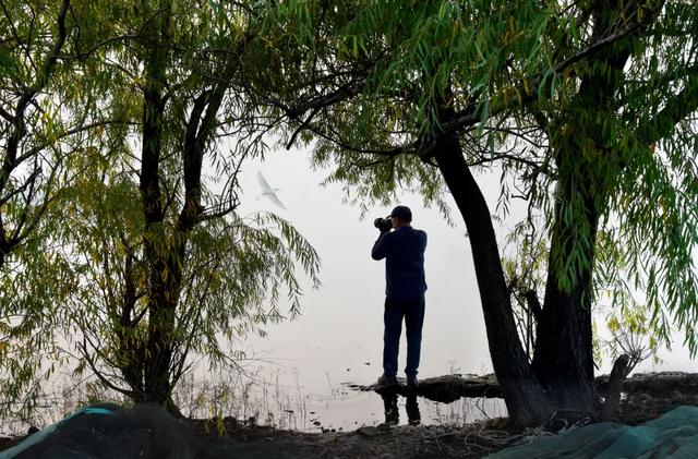 @明光人，来女山湖罗咀，当一天“闲云野鹤”