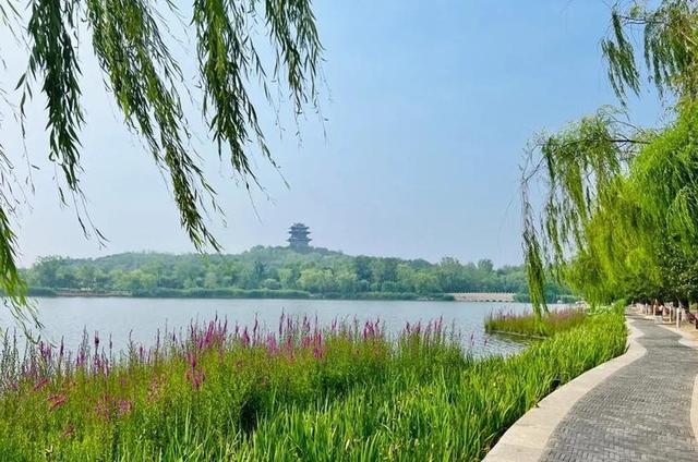 我是杭州人，去石家庄和唐山	，不绕弯子讲：两地人气质完全不一样