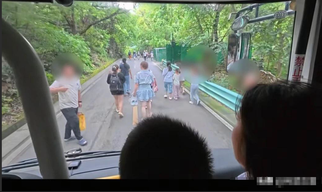 果树突发交通瘫痪！因众人堵死摆渡车道场面惊人，究竟咋回事？