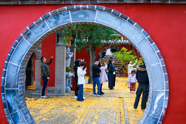 泰山普照寺，那最后的一树金黄