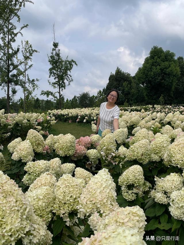 云南弥勒避暑旅游生活记录（一）