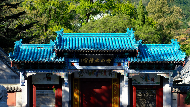 听说，山东的山最近变得「毛茸茸」？