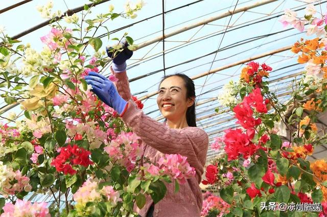 被甘肃“暖”到了！