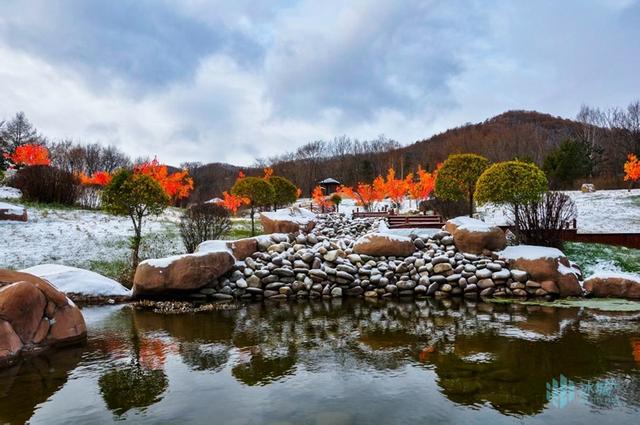 泡汤池、赏雪景，宾县“寒地温泉”暖意迎宾