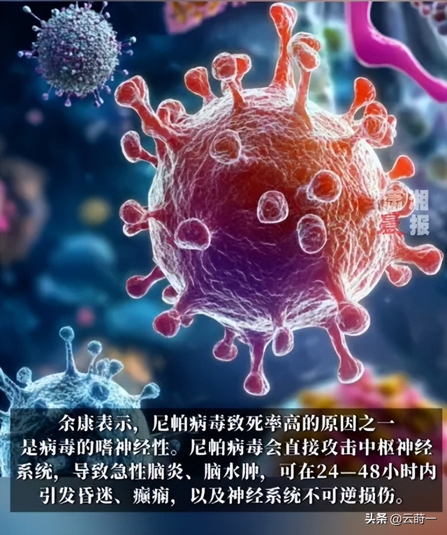 “尼帕病毒”来势汹汹，建议：每家备好5样东西	，关键时刻能救命