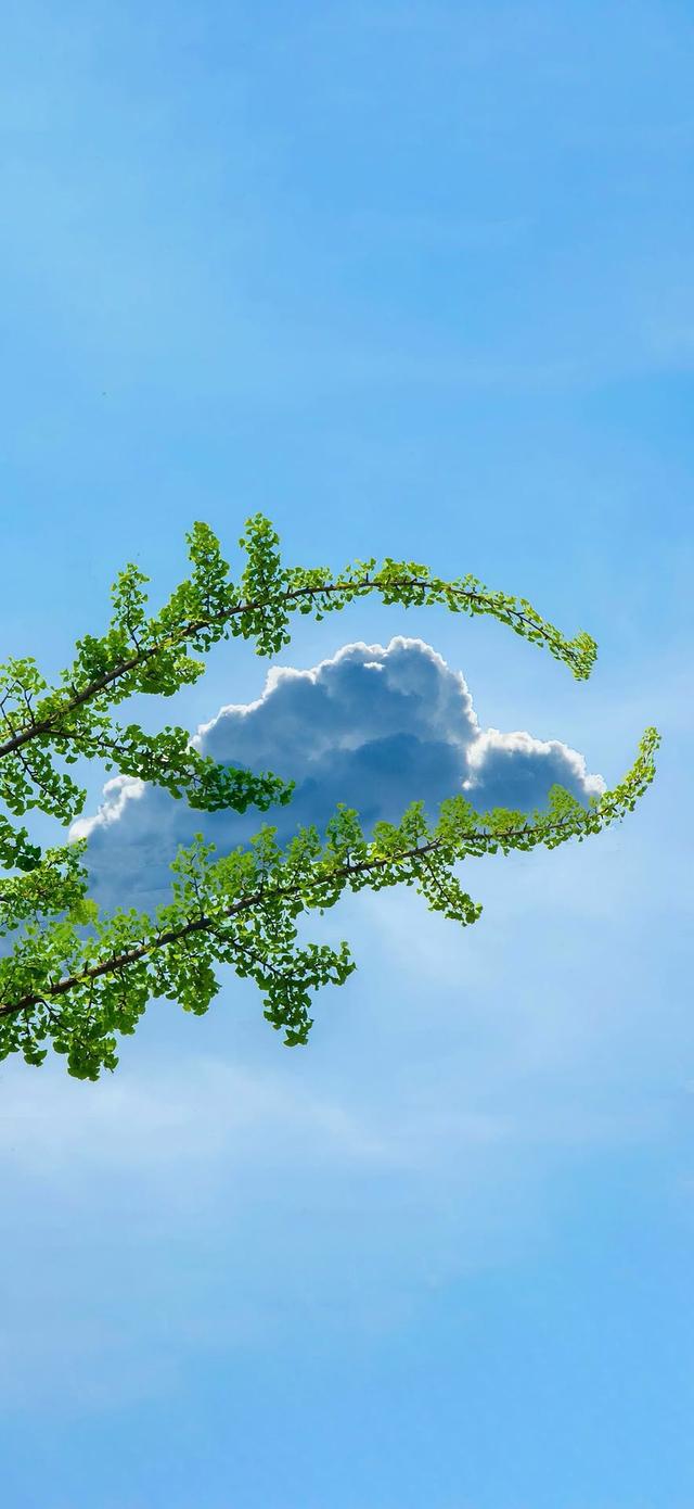 云起天犹湿，风翻势若奔。俄然开碧落，金日出乾坤